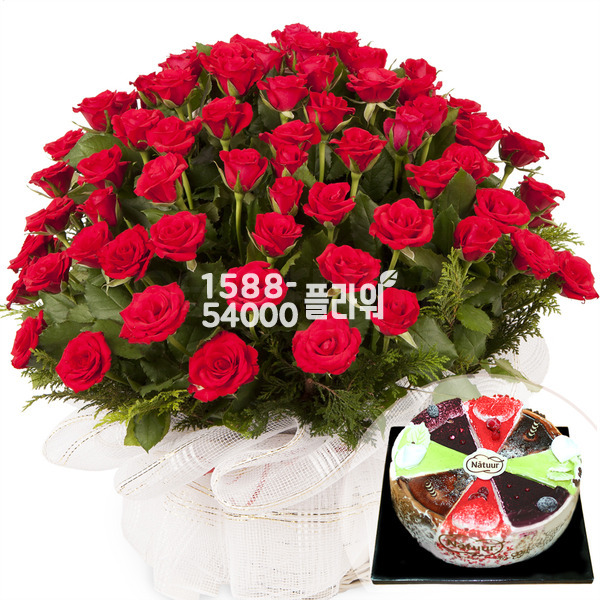 사랑을 구합니다/장미91송이 + 케익