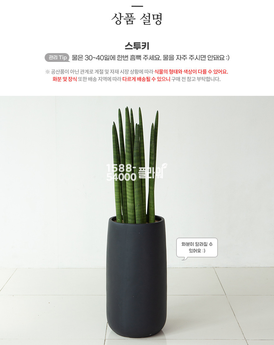 상세이미지