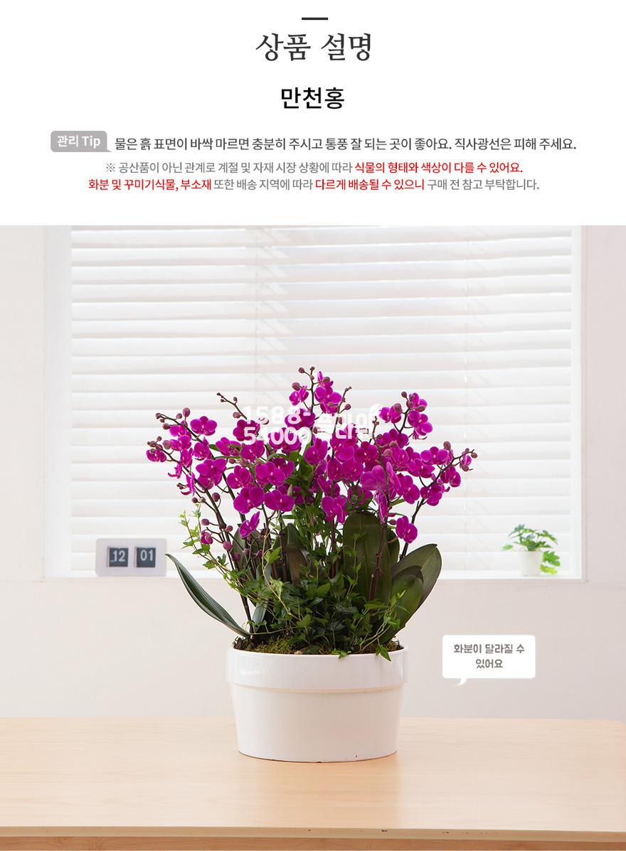 상세이미지
