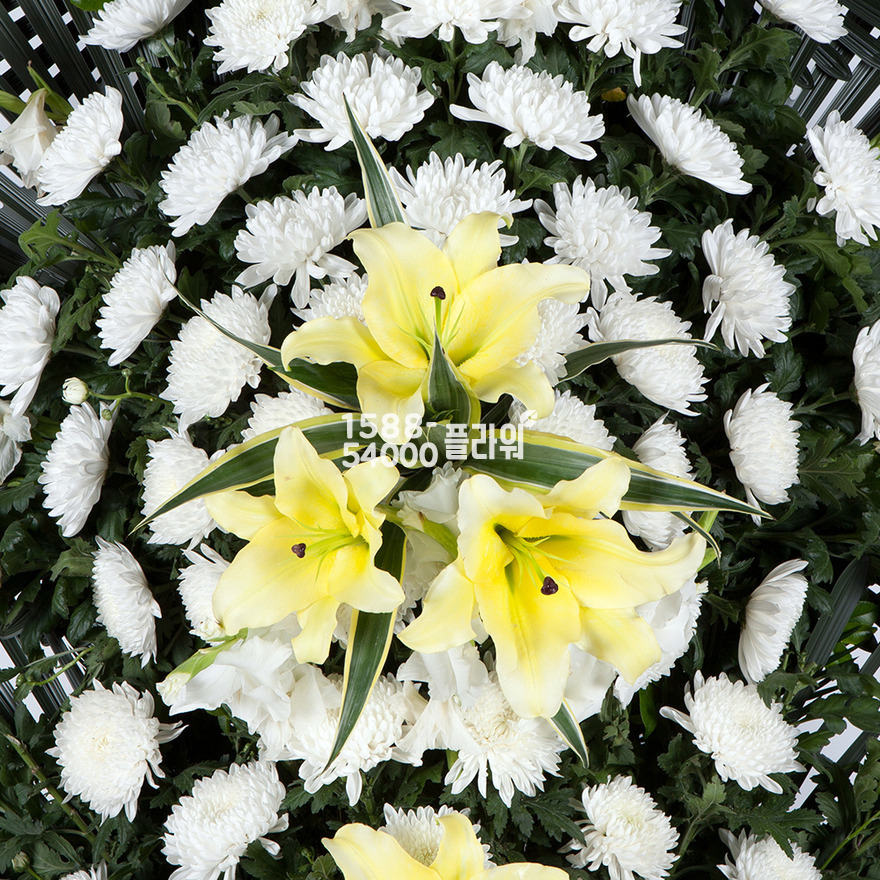 상세이미지
