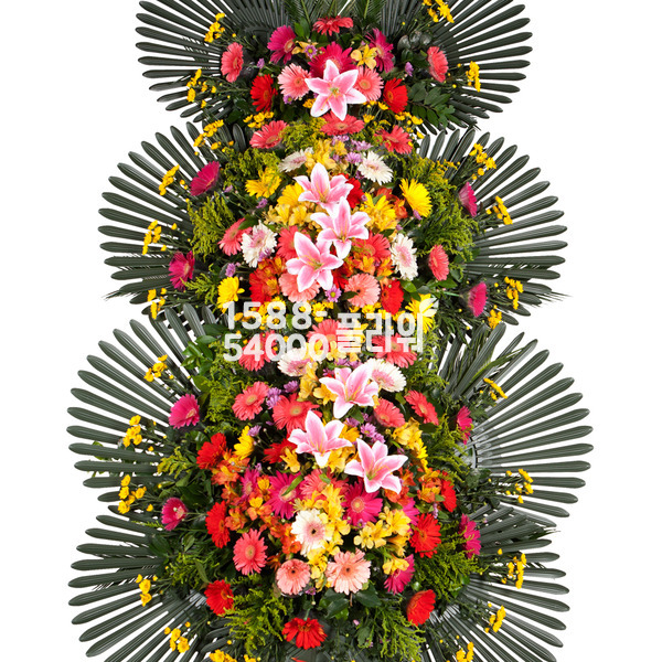 15%특별적립★축하3단(고급S) 축하합니다!