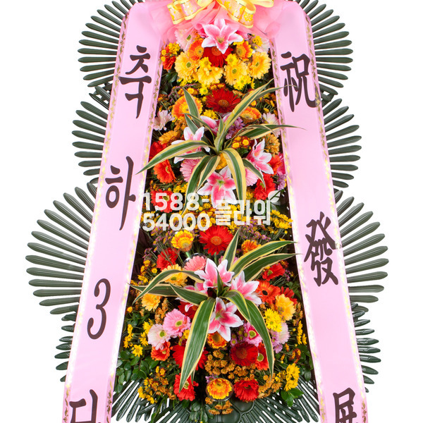 10%적립★축하3단3 기본형