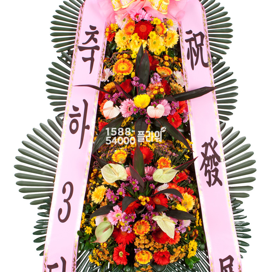 상세이미지