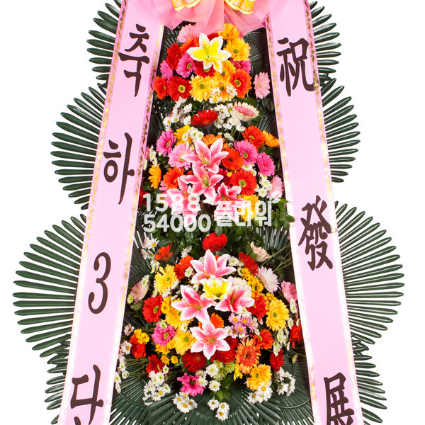 10%적립★축하3단(기본형)