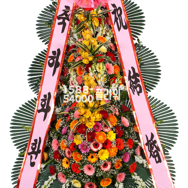 비회원상품★3단축하 고급Special