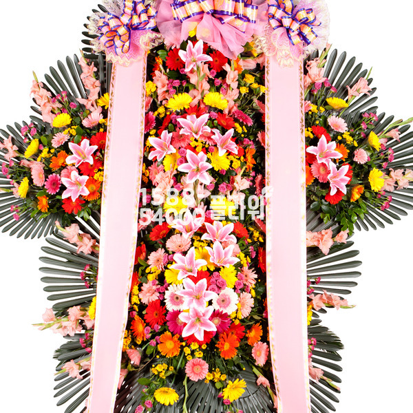 축하5단 럭셔리