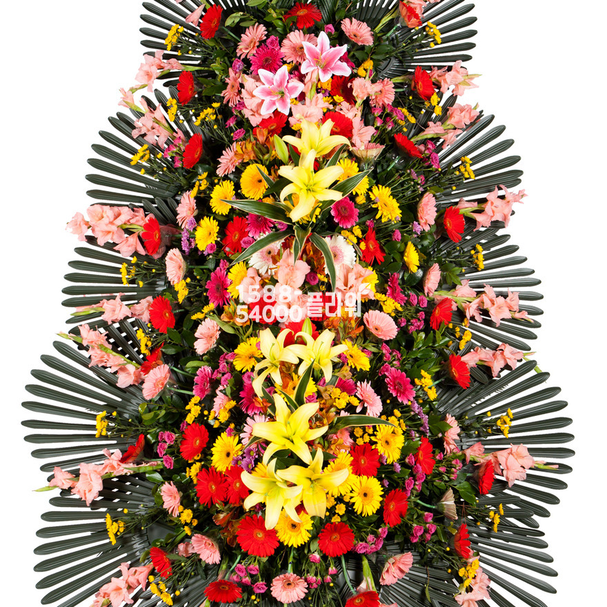 상세이미지