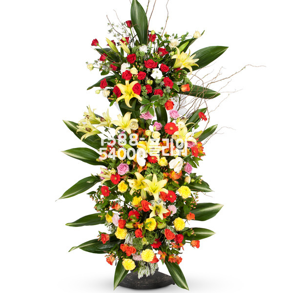 축하2단 바스켓