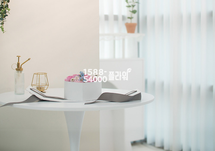 상세이미지