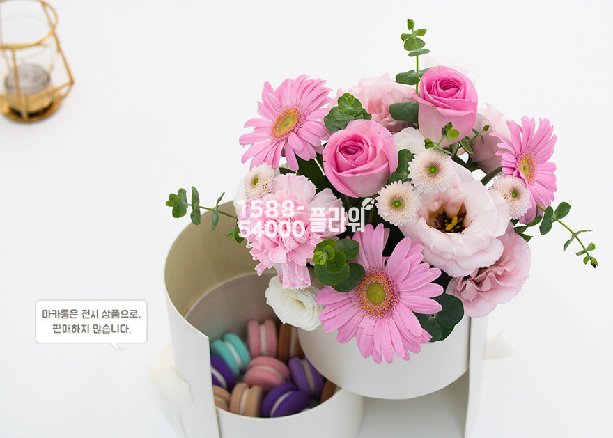 상세이미지