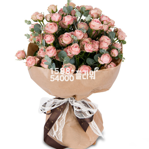 사랑스런 큐티 장미