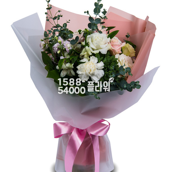 축하합니다2