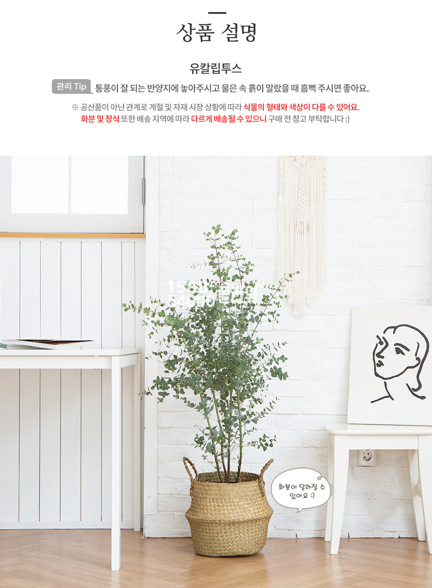 상세이미지