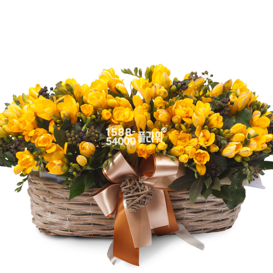 상세이미지