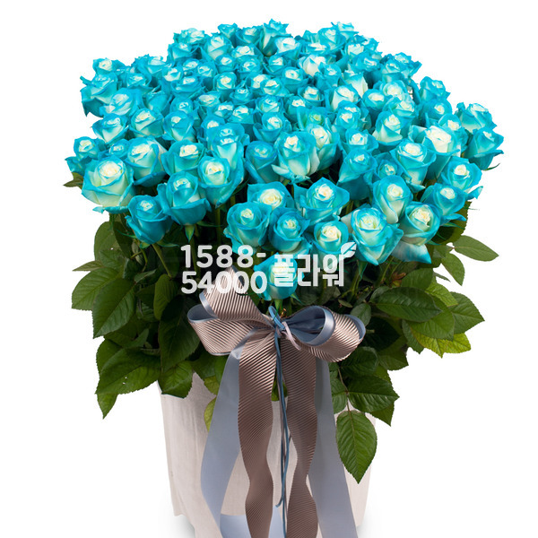 파랑이80송이(예약배송)