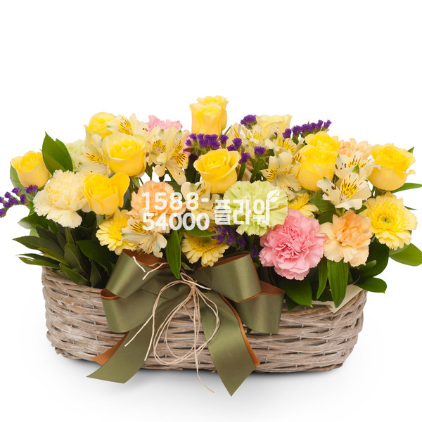 카네이션바구니 318s