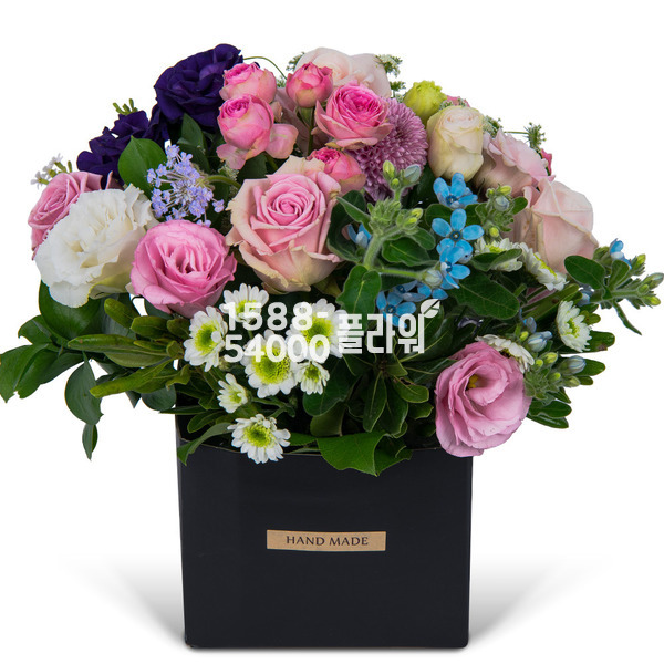 모던혼합바구니2