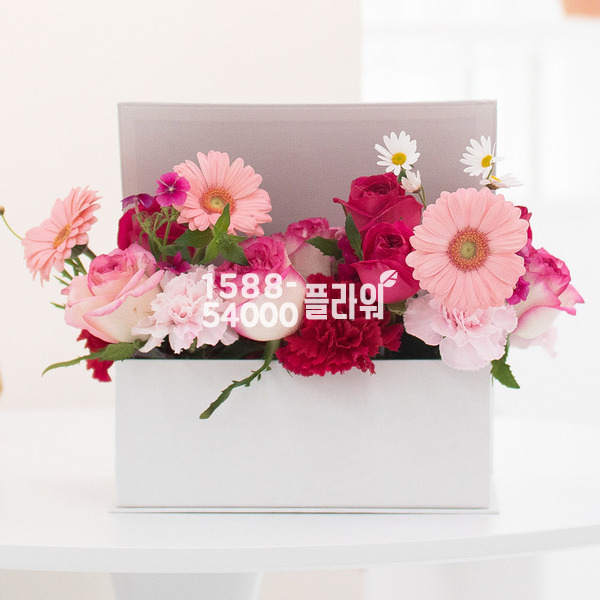 로즈 가든