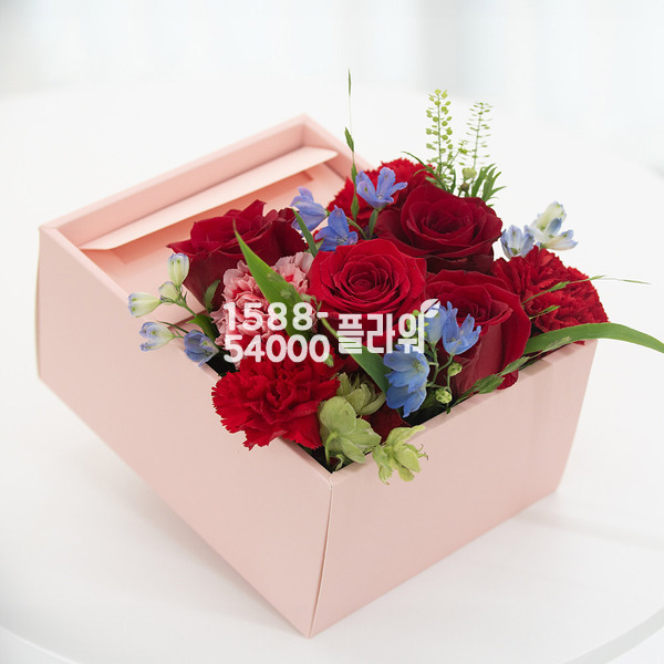 로즈스퀘어 용돈꽃상자