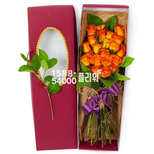 보금자리가되어줄께요