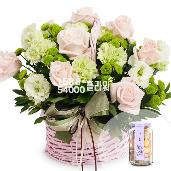 귀염둥이+캔디