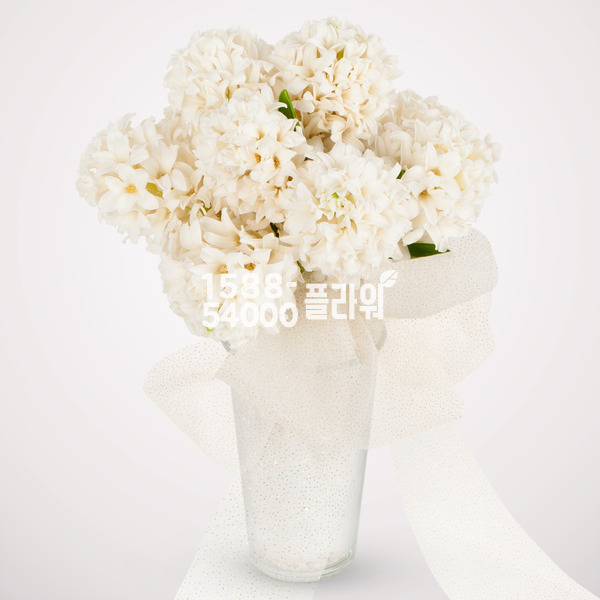 히야신스부케(그레이)