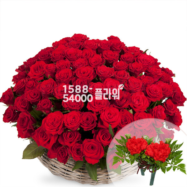 빨간장미바구니(대)(코사지2개무료)