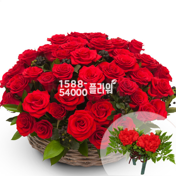 빨강장미둥근바구니(코사지2개무료)