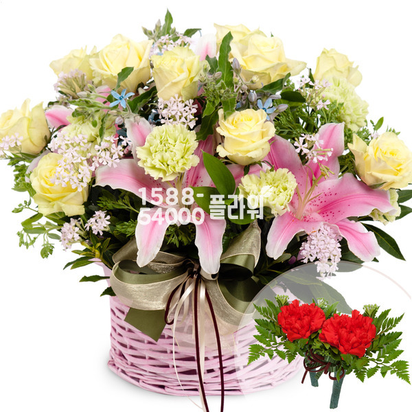 옐로핑크혼합바구니(코사지2개무료)