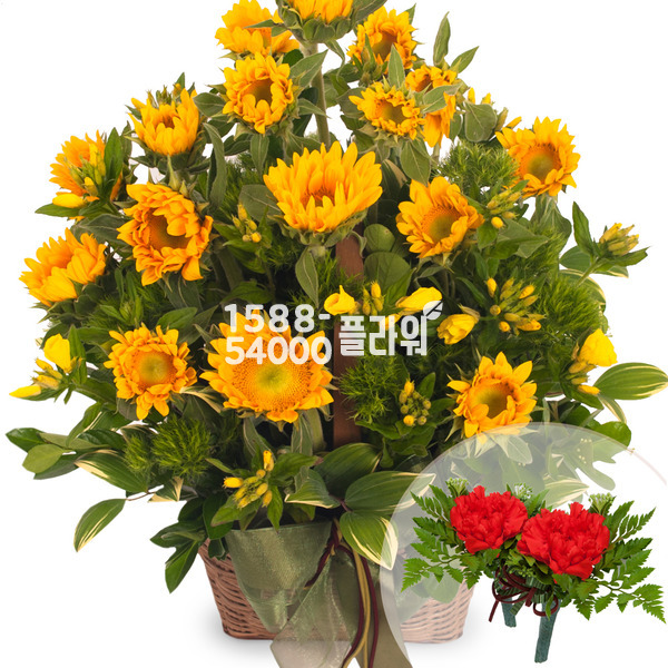 해바라기바구니1(코사지2개무료)