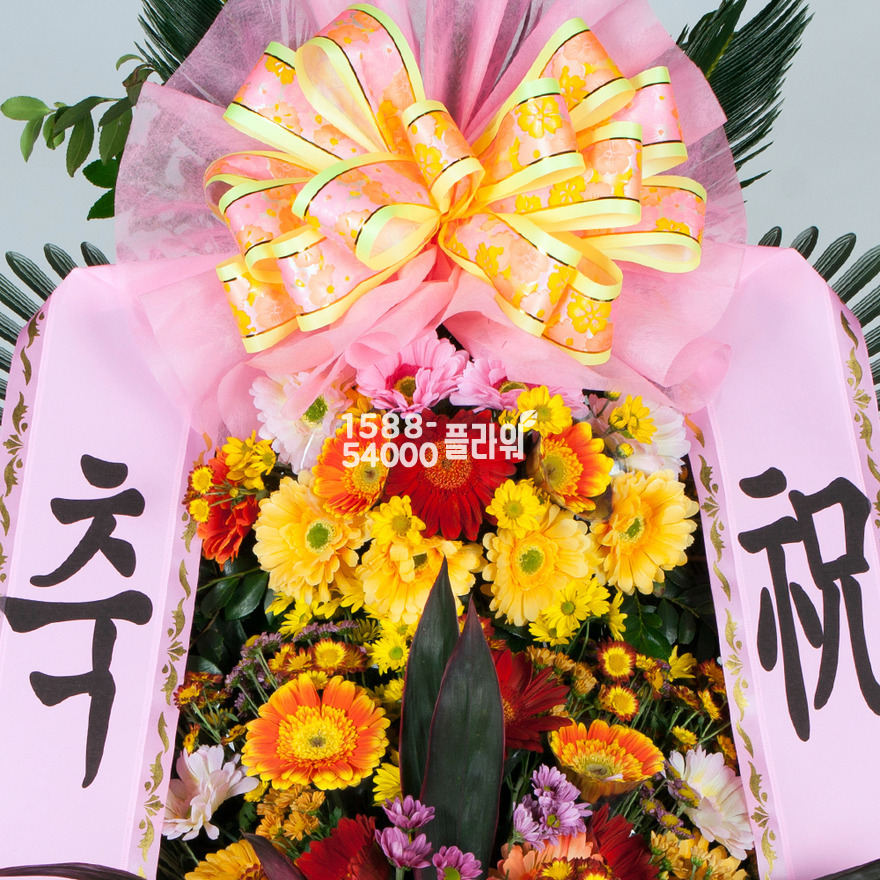 상세이미지