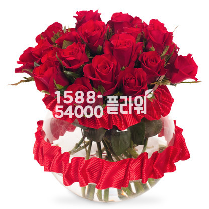 유리화기_레드