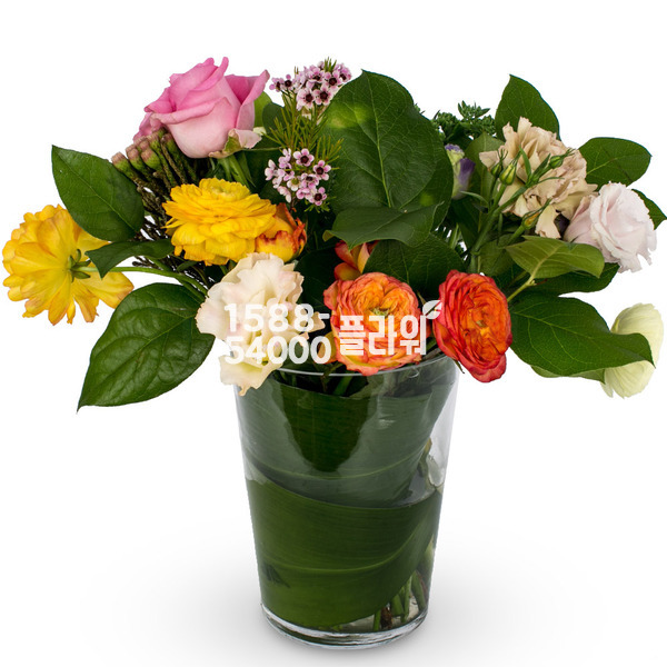 화병어랜지