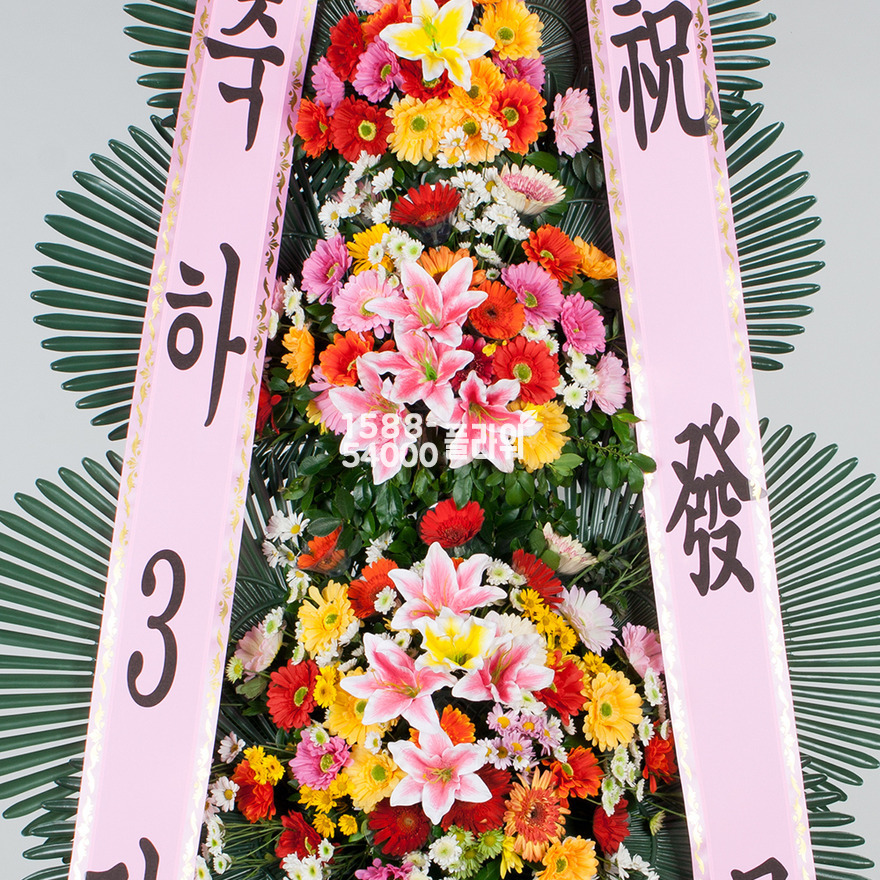 상세이미지