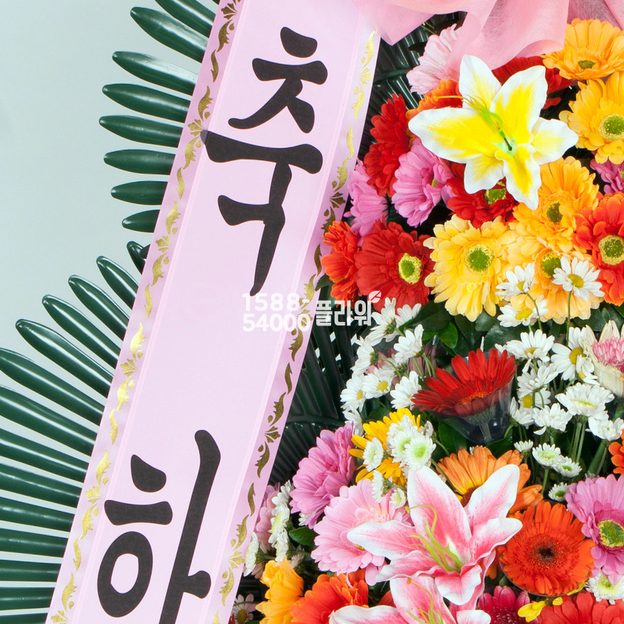 상세이미지