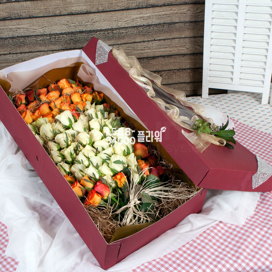 상세이미지
