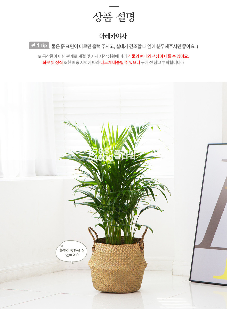 상세이미지