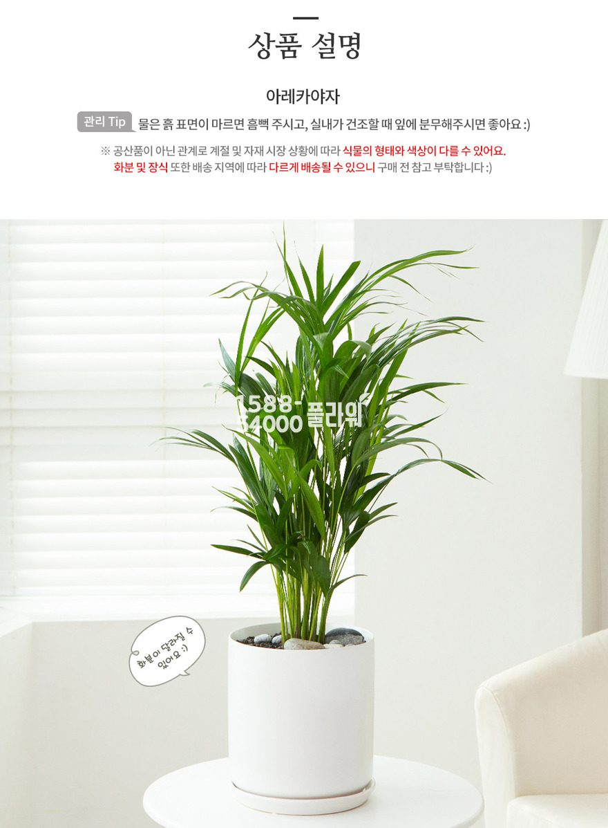 상세이미지