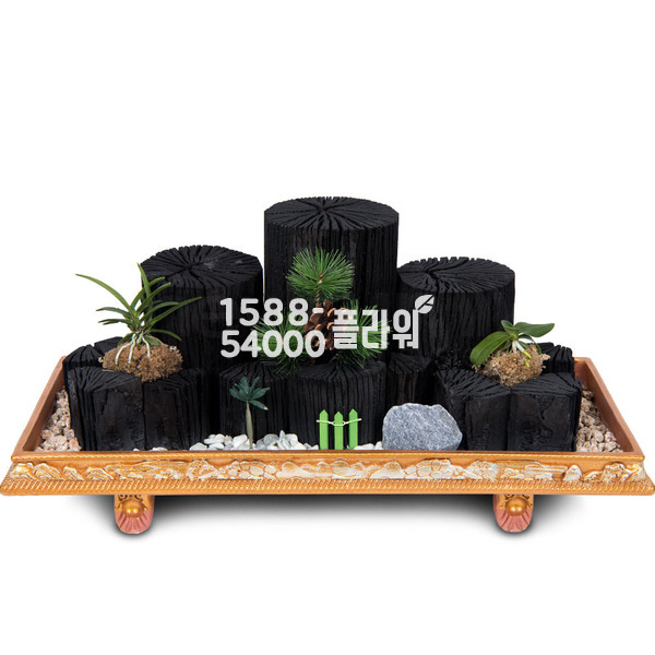숯부작5호