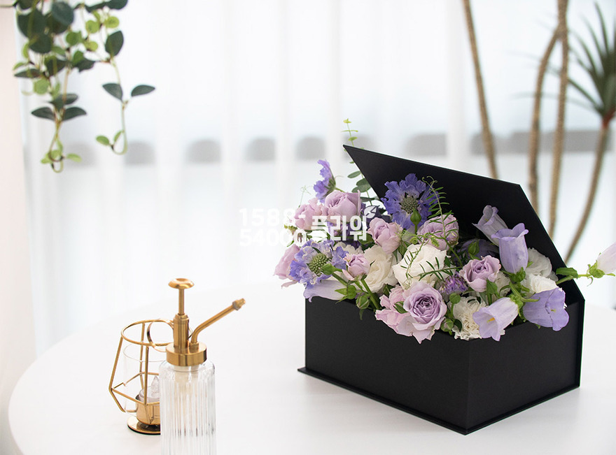 상세이미지