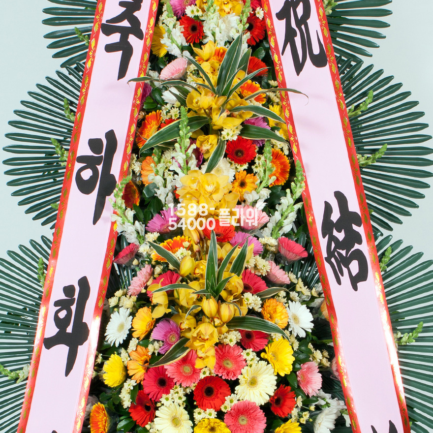 상세이미지