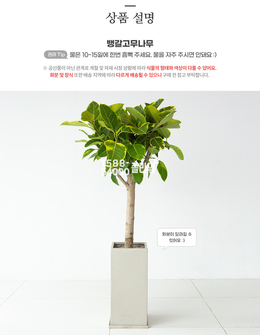 상세이미지