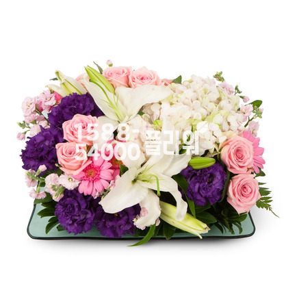 뷰티플 라이프[수반형]