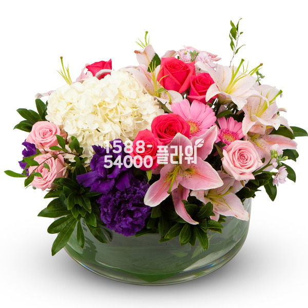 뷰티풀 라이프~