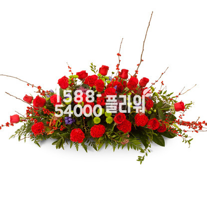 사방화7호