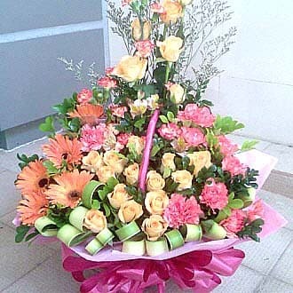 상세이미지