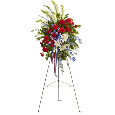 축하B-스페인