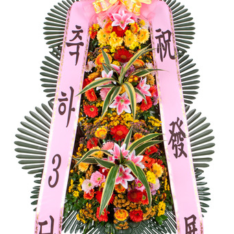 10%적립★축하3단3 기본형