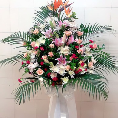 축하E-중국